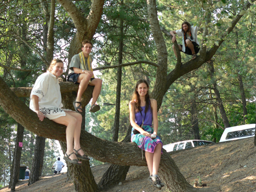Susa, Althea, Forrest and Birrion in a tree