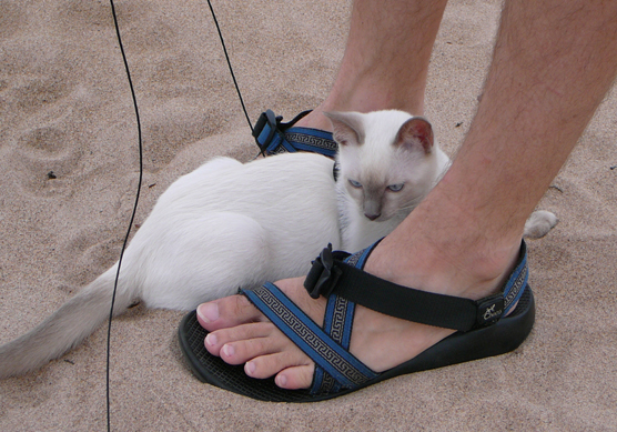 Gabby at feet