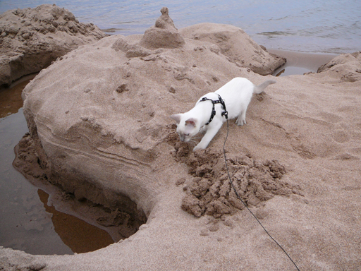 Sand Castle