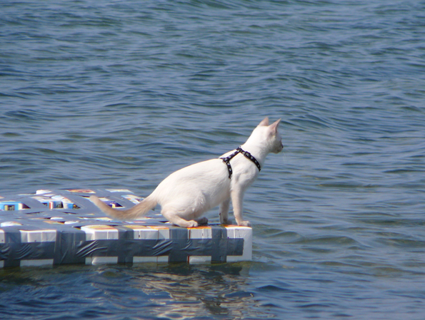 Gabby rides out to sea
