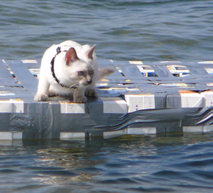 Gabby sits on raft