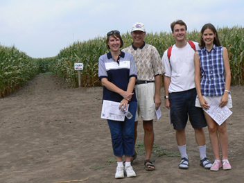 cornmaze all
