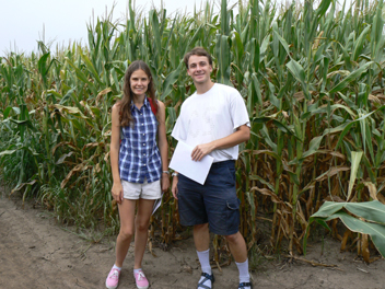forrest susa corn