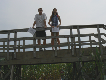 fsbridge